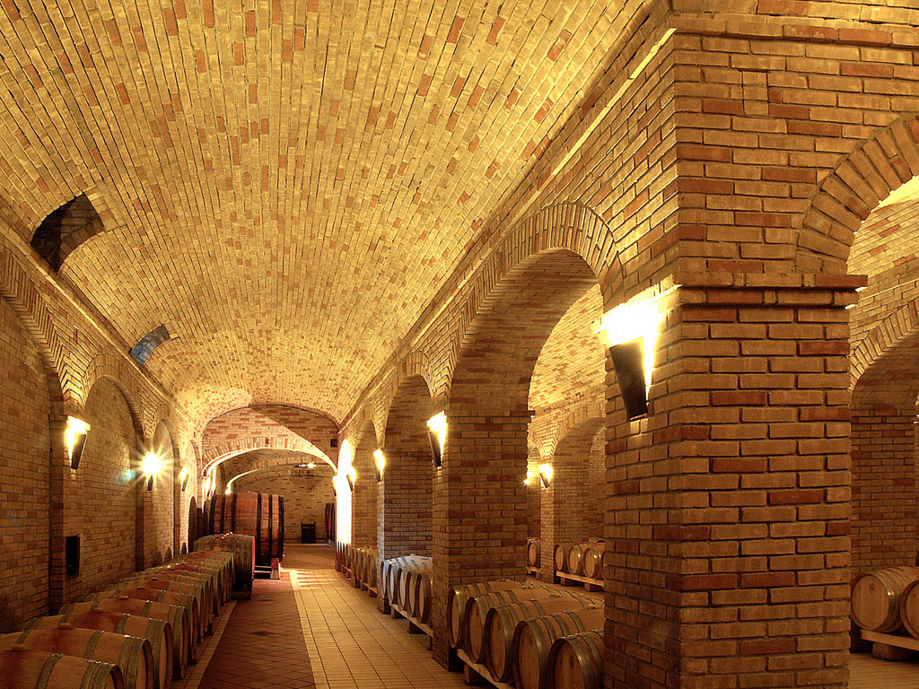 Кирпич SELMO LEADER LINE, Macchiato, 240x115x70, S.Anselmo