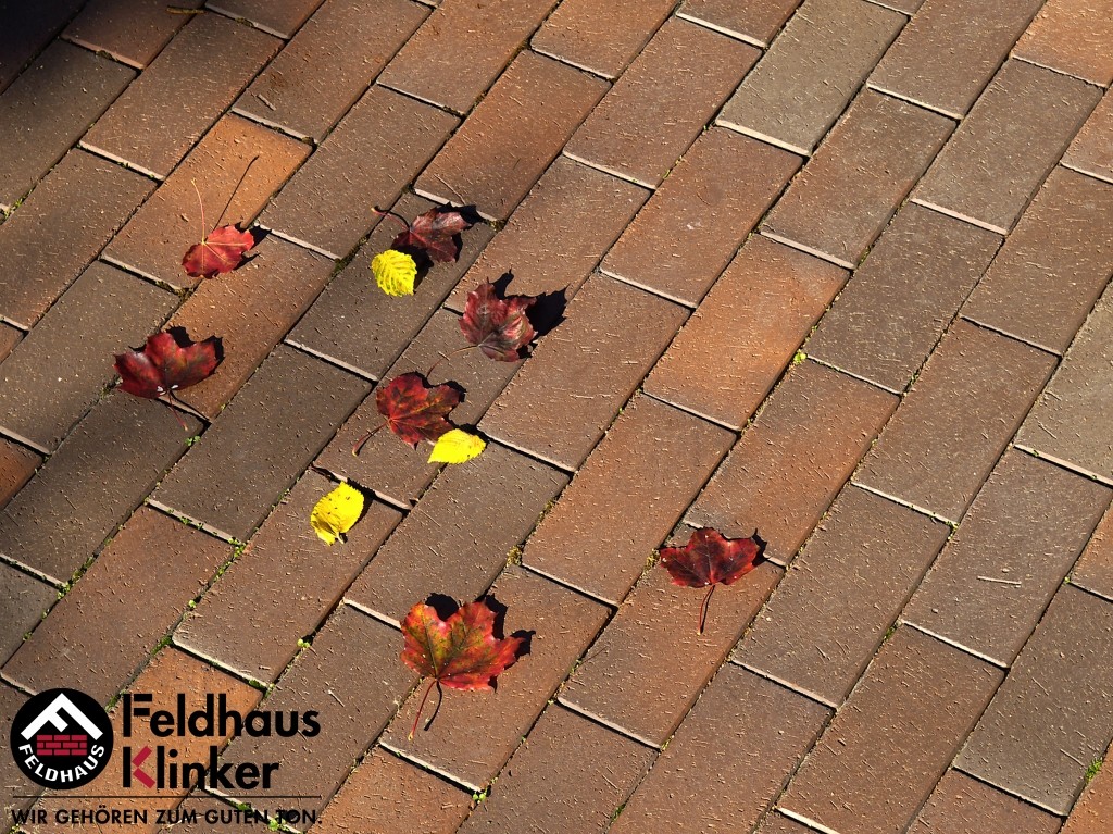 Тротуарная Плитка (брусчатка) Feldhaus P403skf Gala Flamea, 200*100*40 Мм